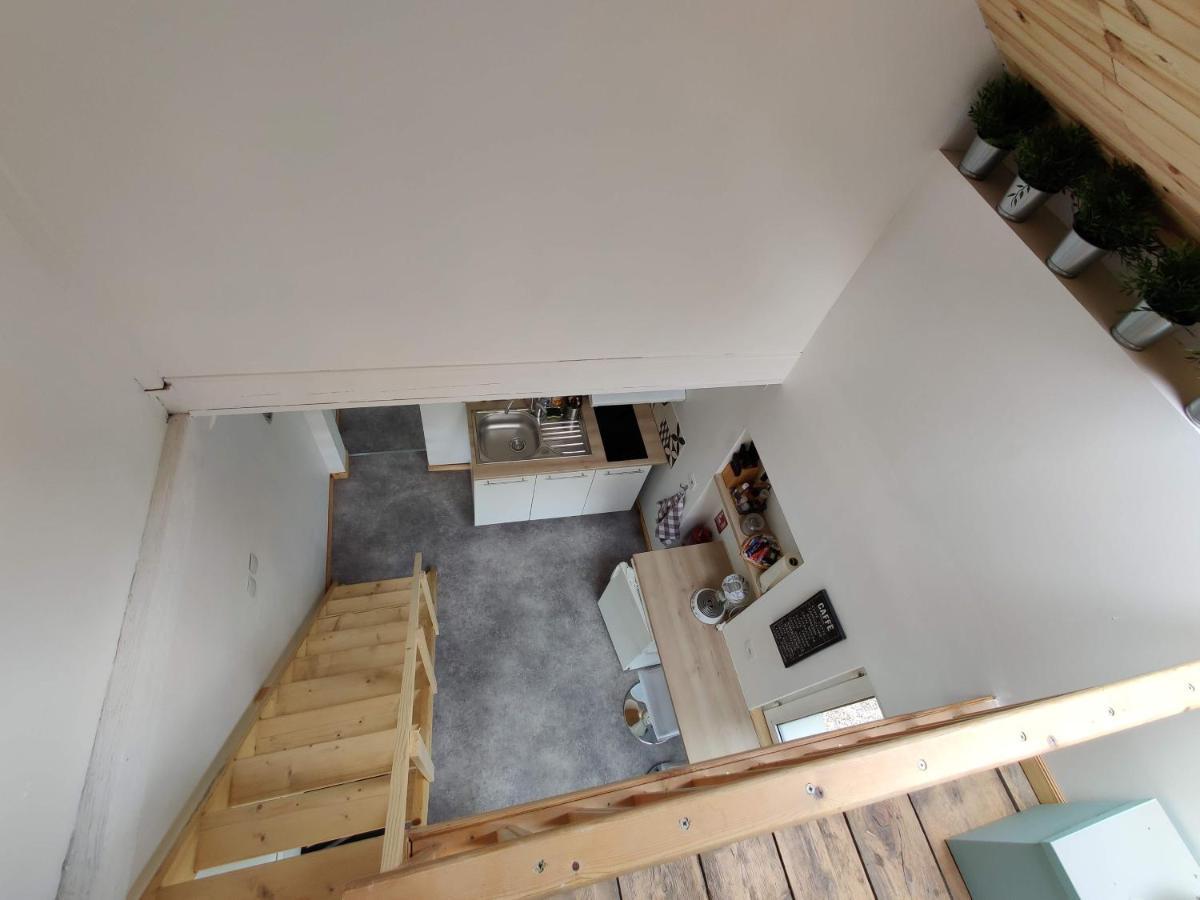 Studio Mezzanine Chez Papou, Ville et Forêt Strasbourg Extérieur photo