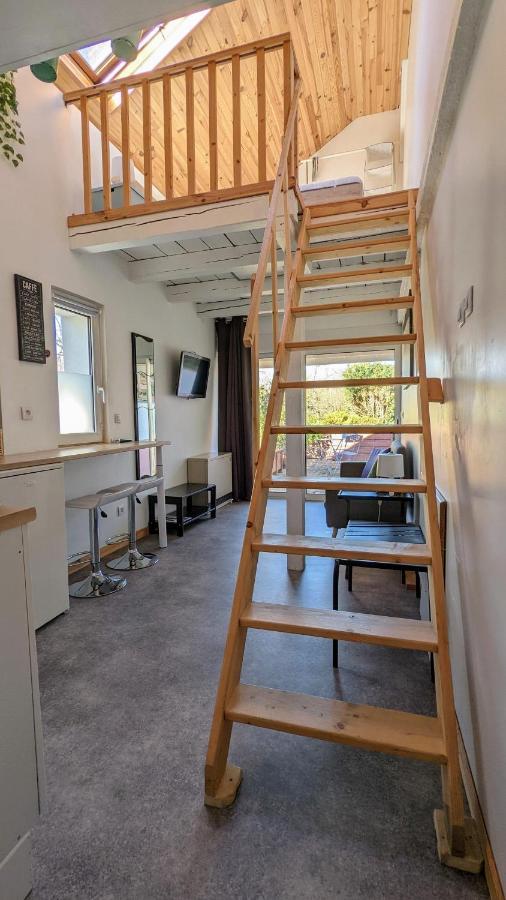 Studio Mezzanine Chez Papou, Ville et Forêt Strasbourg Extérieur photo